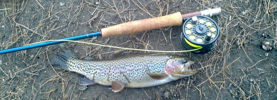 Redington Crosswater and Classic Trout
